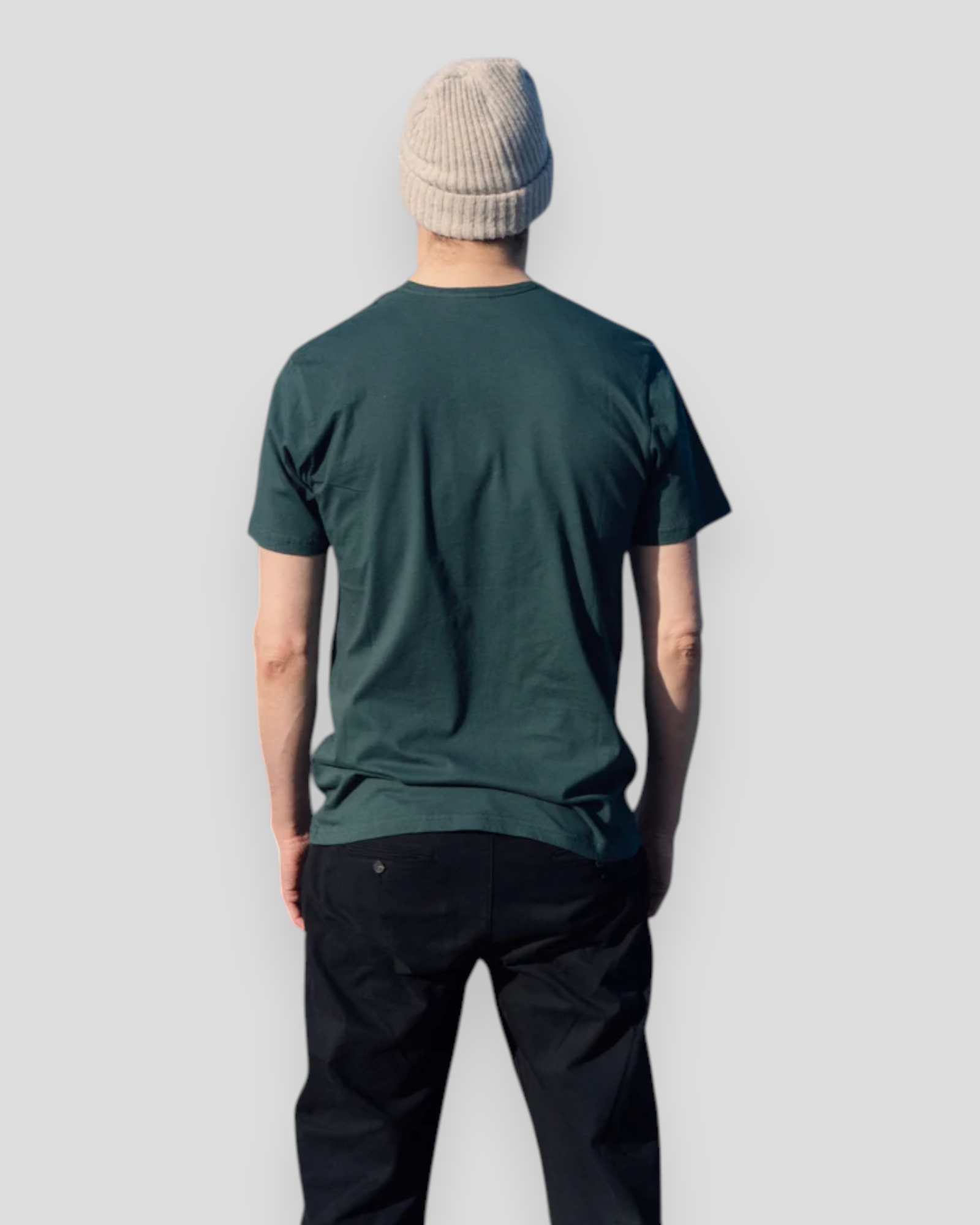 Seaparrot Seaman T-Shirt - Green Gables