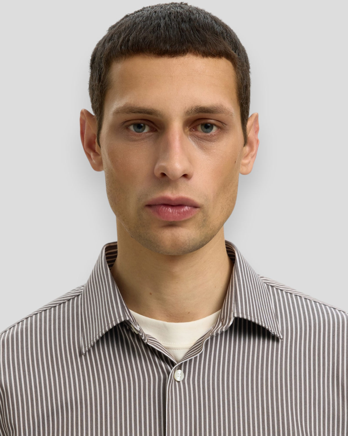 Filip-Performance LS Slim Shirt - Turkish Coffee Stripes/White