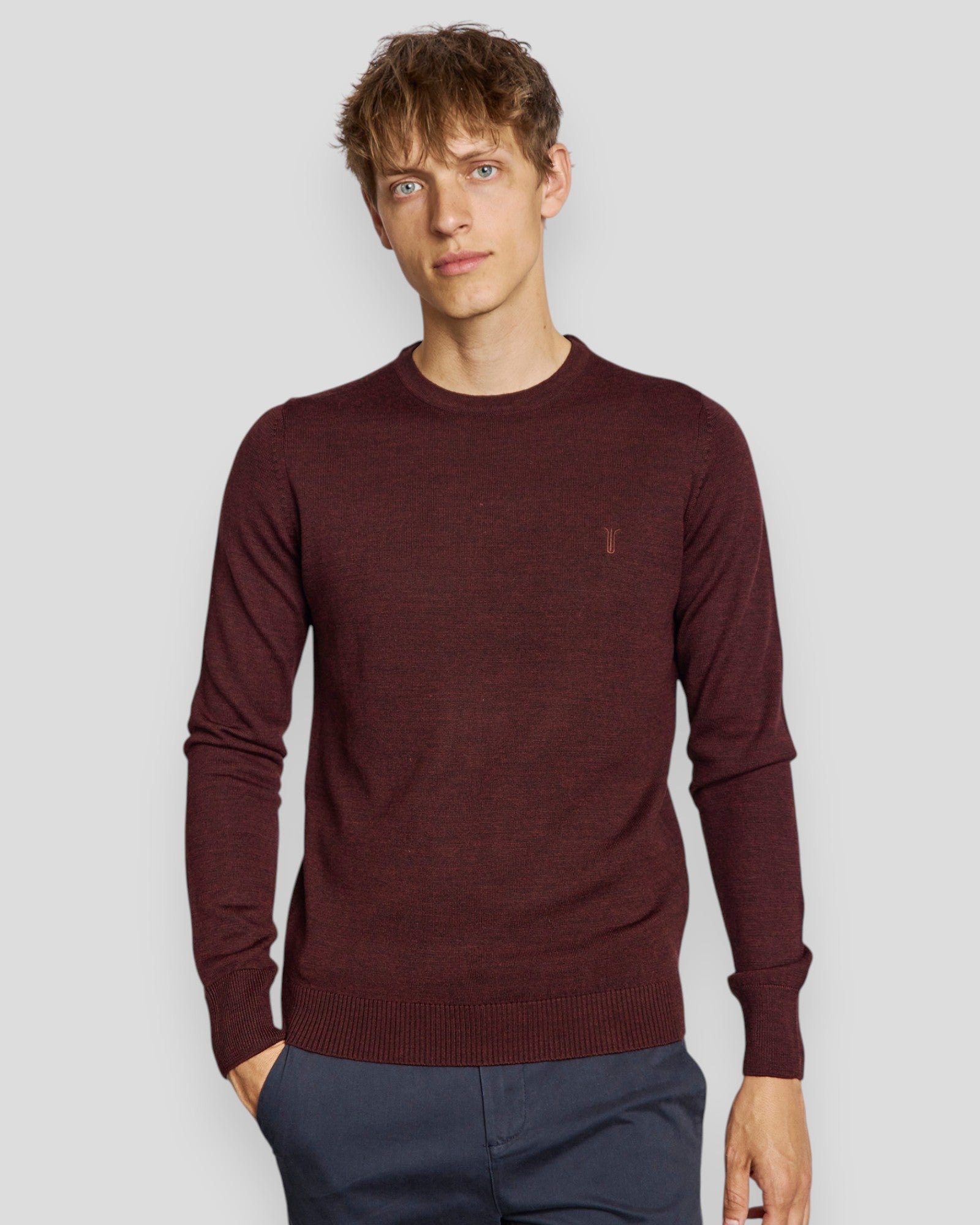 Jupiter Regular Fit Knitwear - Bordeaux