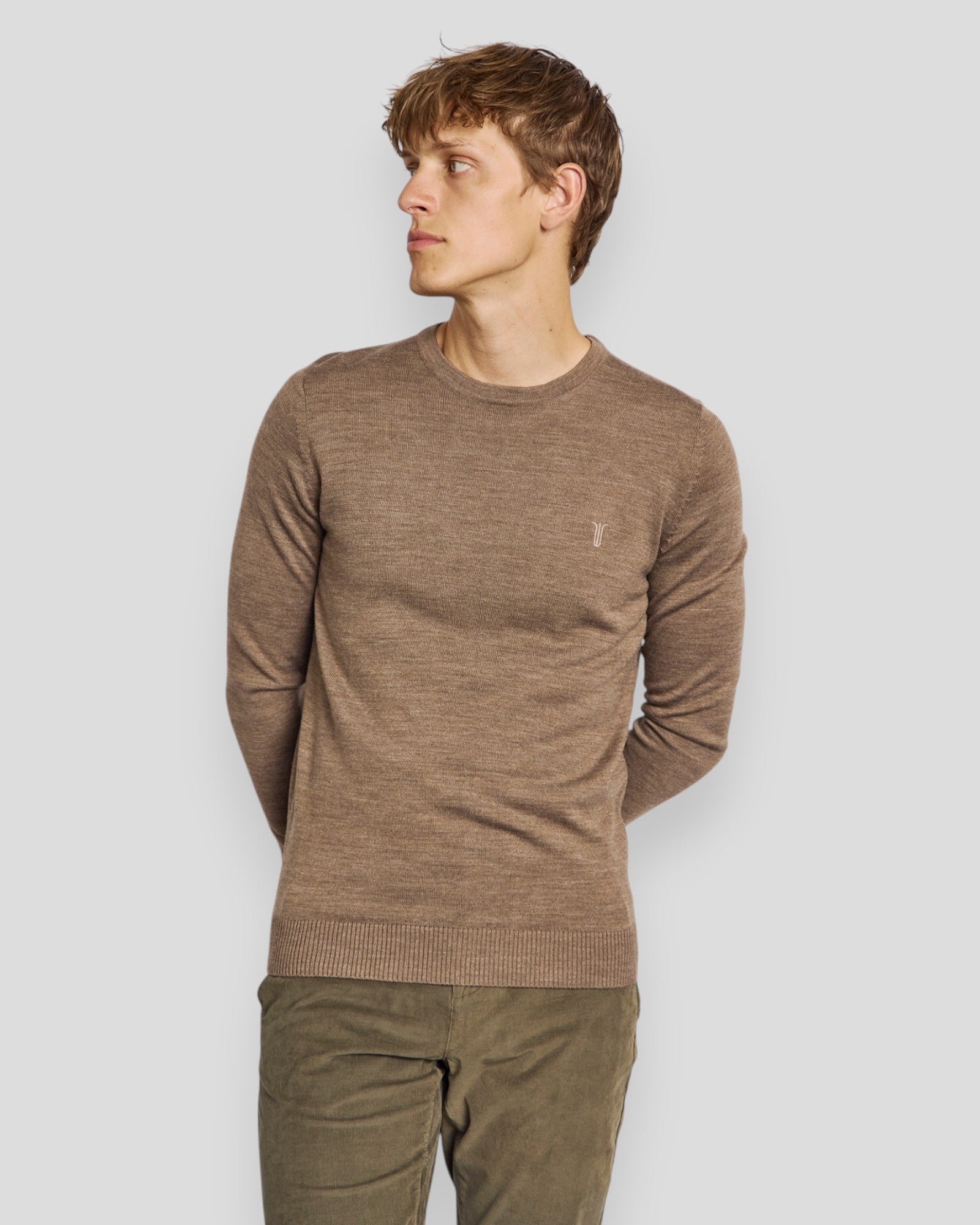 Jupiter Regular Fit Knitwear - Brown