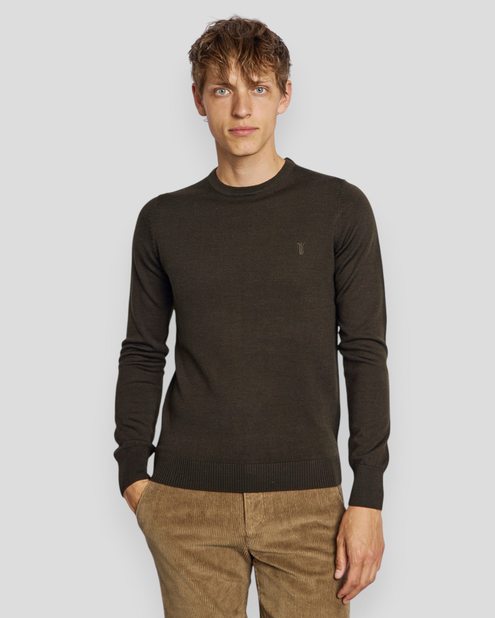 Jupiter Regular Fit Knitwear - Green