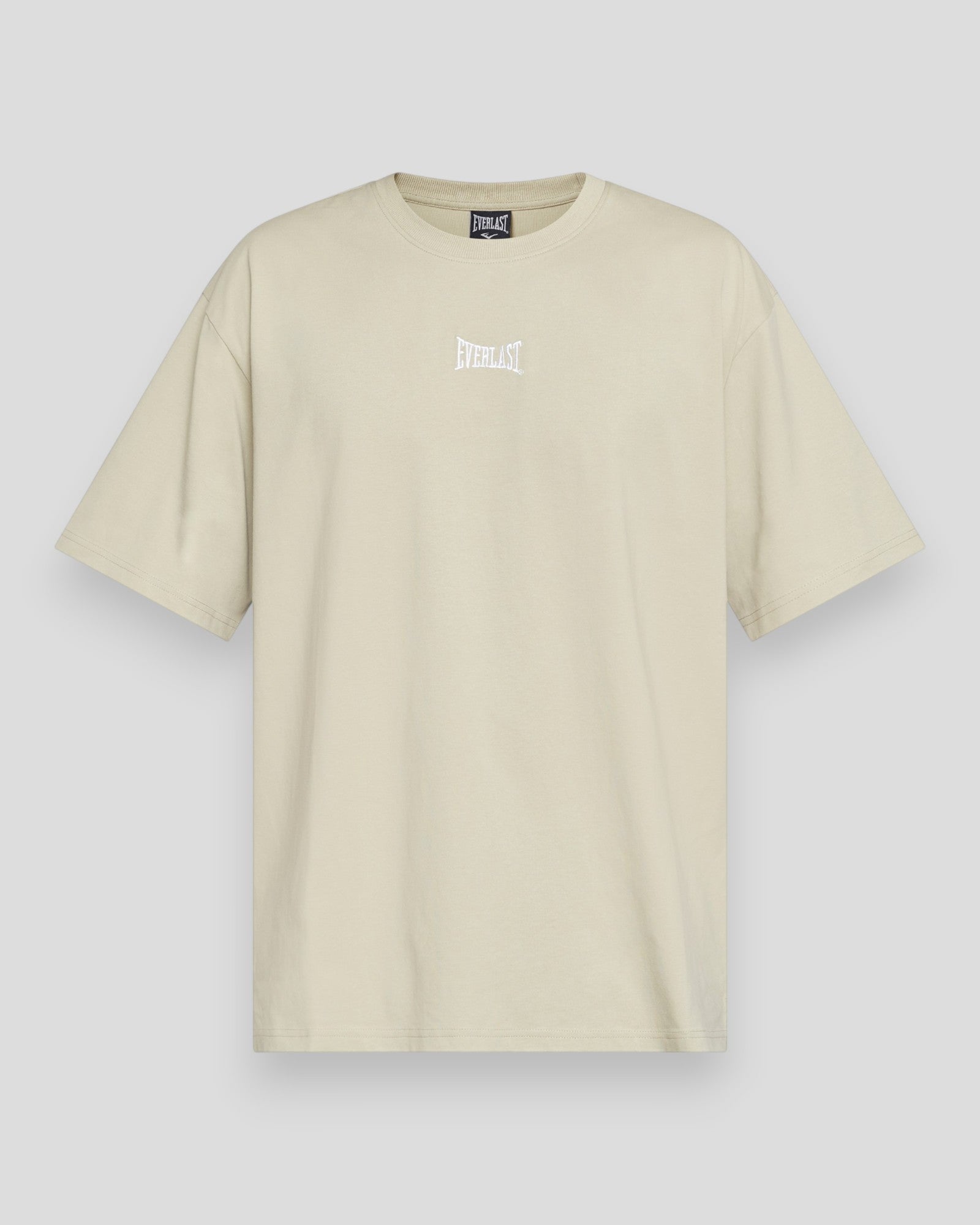 Light grey Everlast Never Give Up Tee, casual cotton T-shirt with motivational graphic design, fitted on a mannequin.