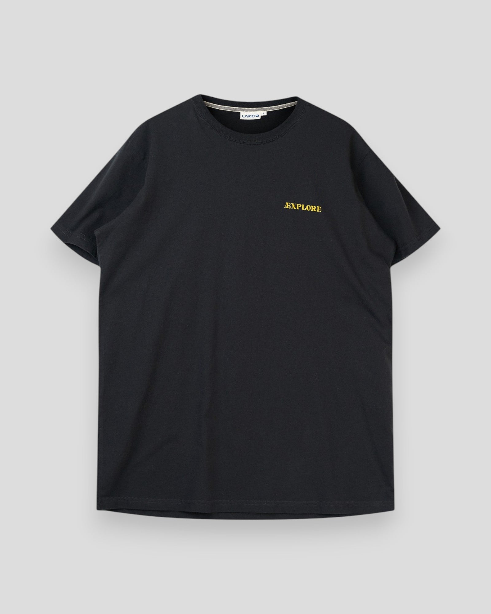 Room with a View T-shirt - Moonless Night