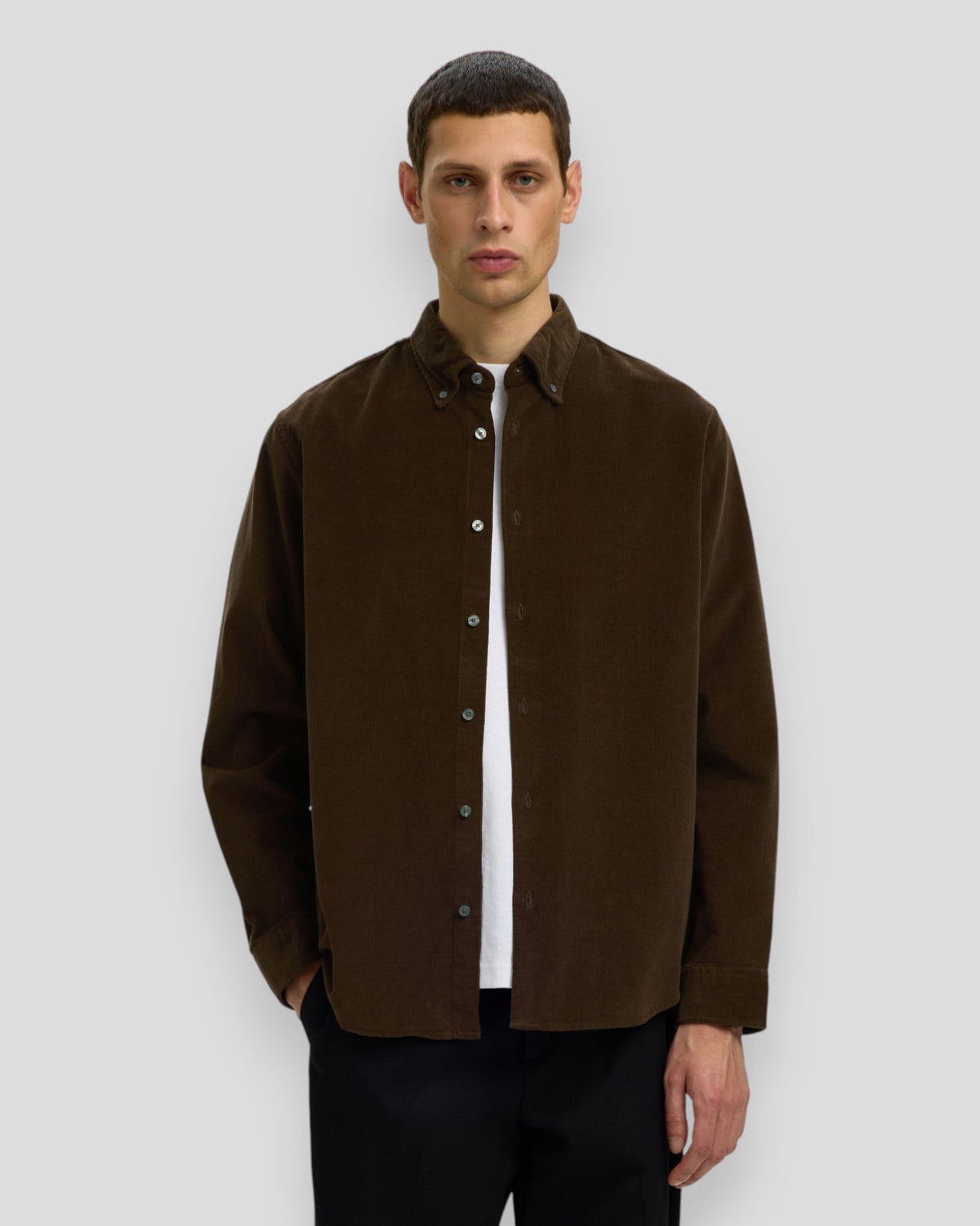 Regular Cole Danni Cord BD LS Shirt - Turkish Coffee