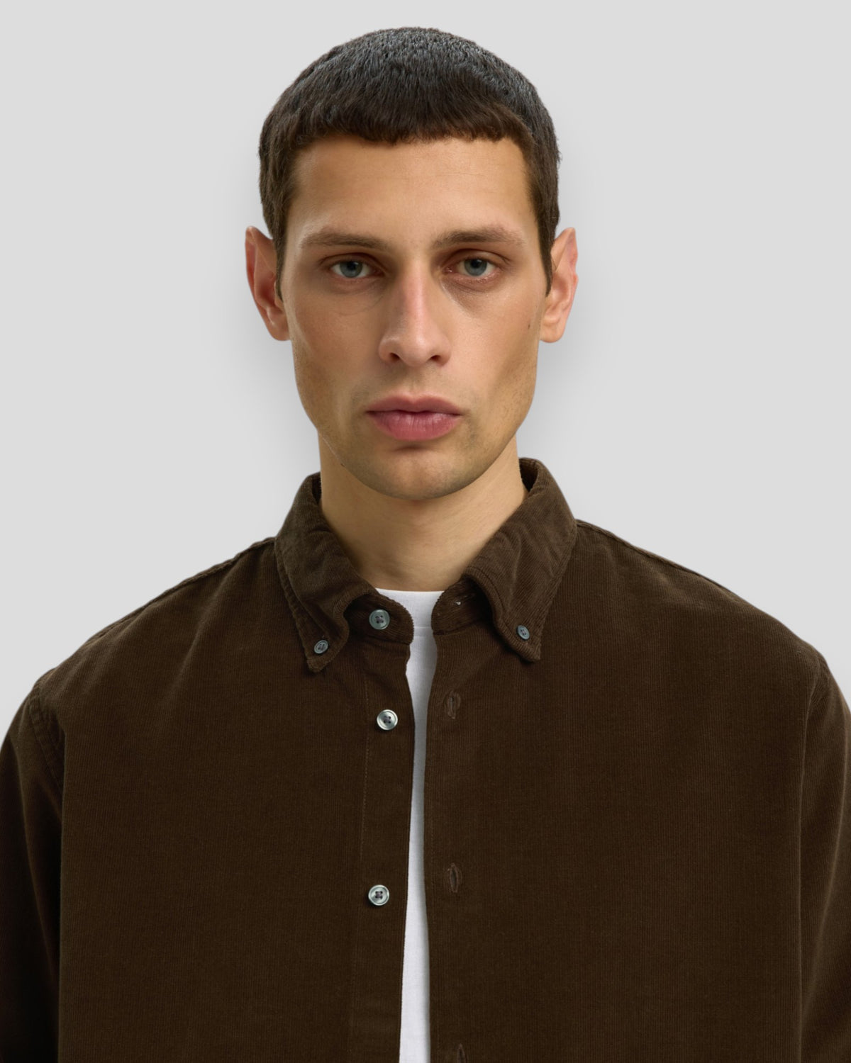 Regular Cole Danni Cord BD LS Shirt - Turkish Coffee
