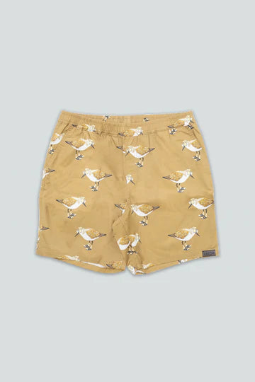 Sandpiper Shorts - Starfish