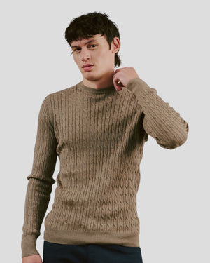 A man wearing a brown regular fit cable knit sweater from The Sons online, featuring a crew neck and textured pattern.
